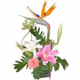 ͨʻٵ
